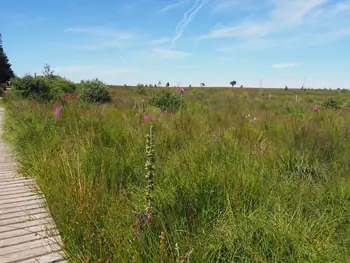 Signal de Botrange (België)